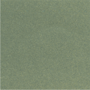 ST 06